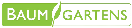 Qibamboo logo