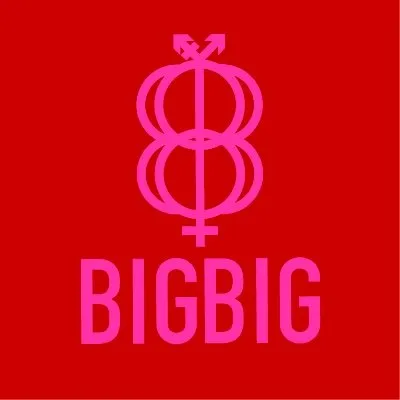 Bigbig logo