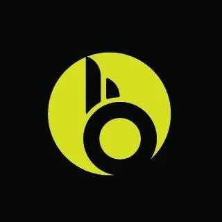 bigboi logo