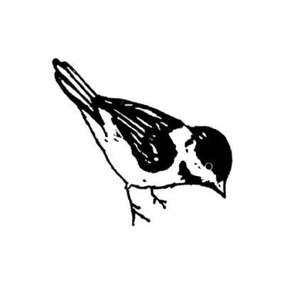 Birdies logo