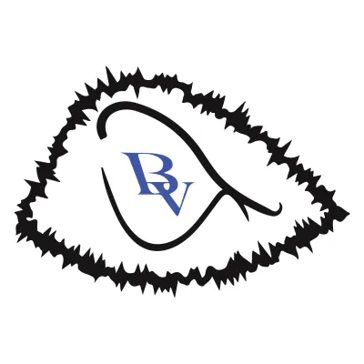 bluevisionclothings logo