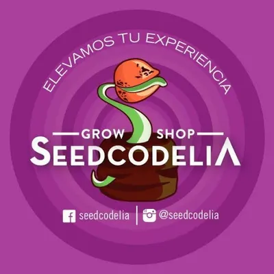 Elevamos tu Experiencia logo