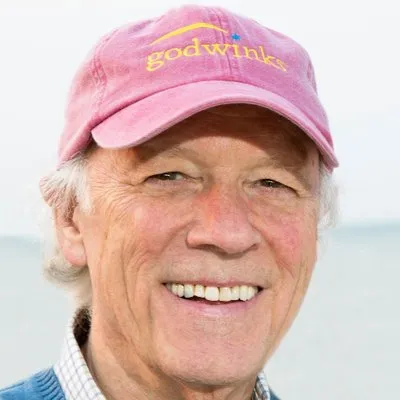 Godwinks logo