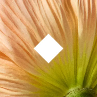 Herbivore Botanicals logo