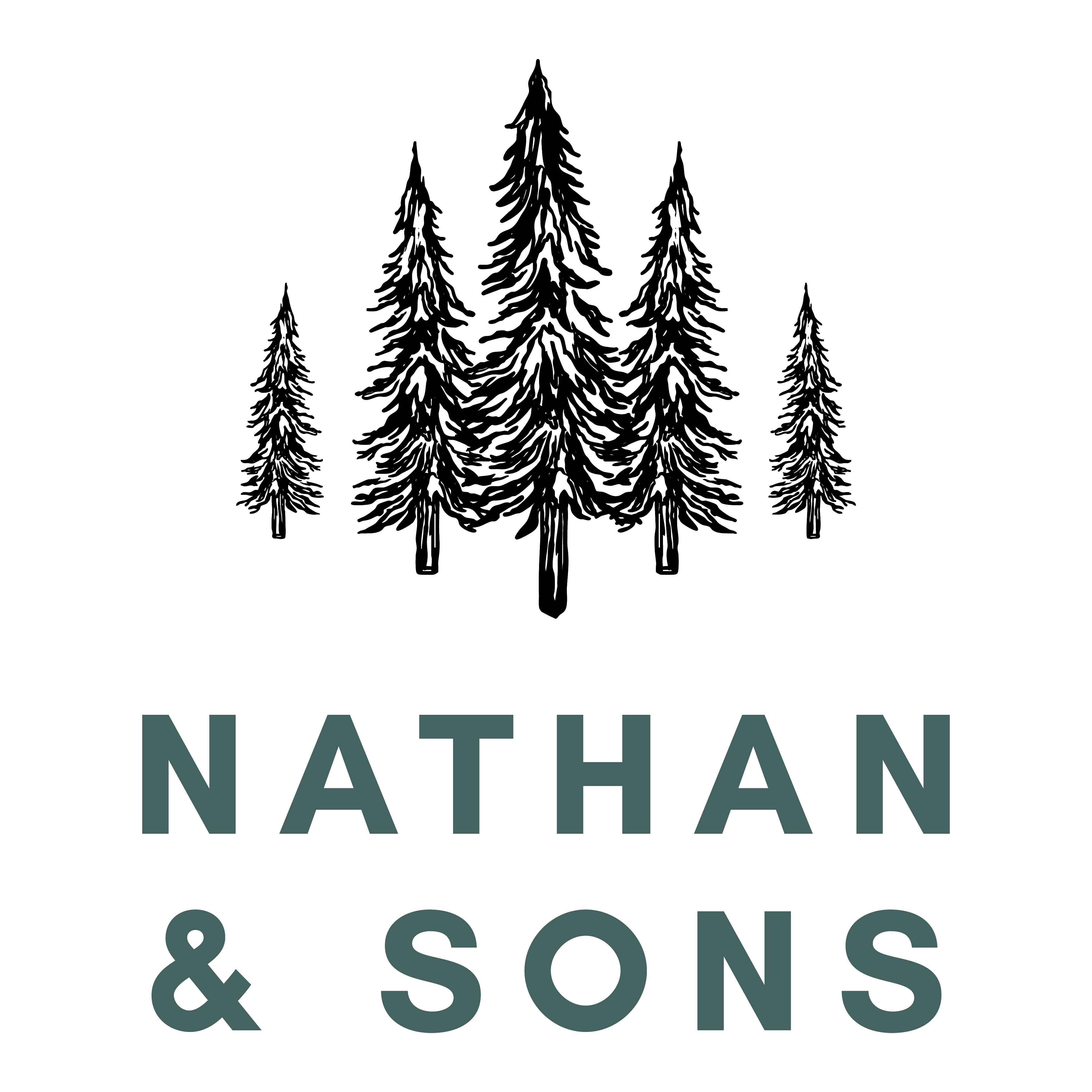 Nathan & Sons logo