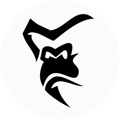 Silverback Gymwear logo